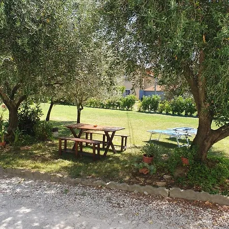 Alle Porte Di 3min Fiera 3 Min Mare Rimini